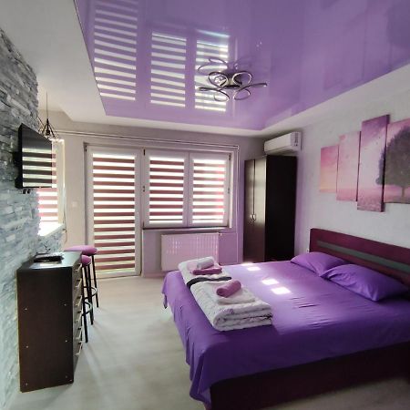 Centrum Lux Apartment นิส ภายนอก รูปภาพ