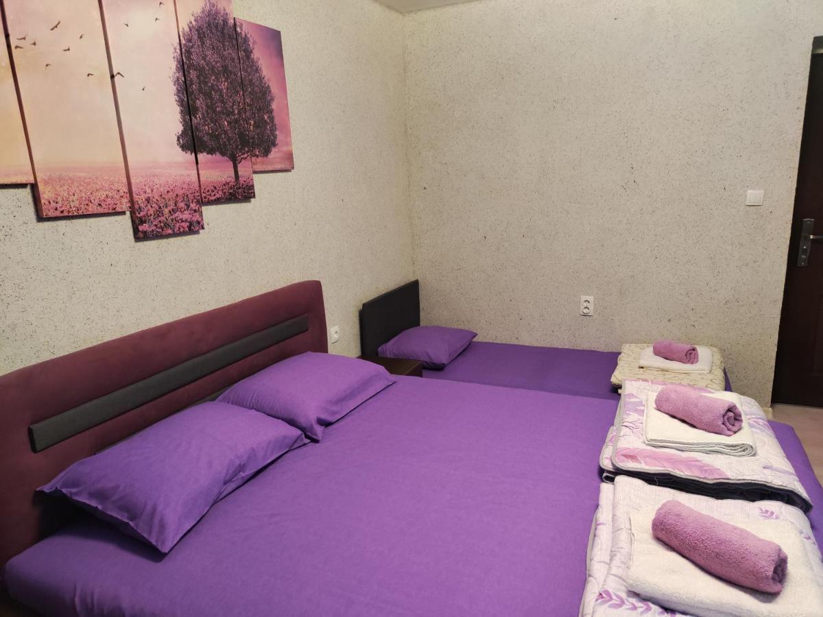 Centrum Lux Apartment นิส ภายนอก รูปภาพ