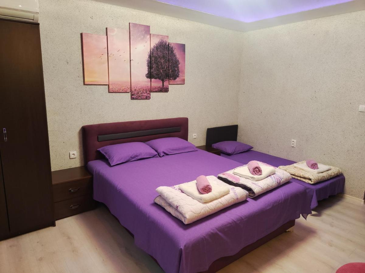 Centrum Lux Apartment นิส ภายนอก รูปภาพ